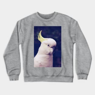 Sulfur Crested Cockatoo Crewneck Sweatshirt